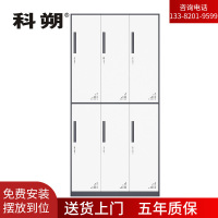科朔文件柜六门更衣柜钢柜钢制办公室更衣柜铁皮更衣柜储物柜KS-G004 500深六门