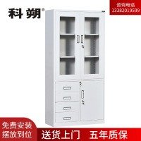 科朔文件柜铁皮柜资料柜办公室柜子档案柜 偏四斗文件柜 KS-G045