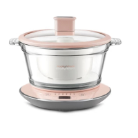 摩飞(Morphy richards) 养生锅 MR9081