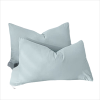 南极人(Nanjiren) 透气枕芯套枕头套一对装 繁星蓝 48*74cm 1套