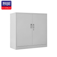 黎明 加厚铁皮文件柜办公柜员工柜资料档案柜铁门
