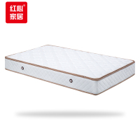 红心 床垫24cm厚度HXCD01乳胶椰棕床垫1.2米独立弹簧床垫
