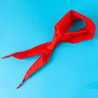 晨光(M&G) (C)晨光红领巾1.2米ASCN9523 5条装