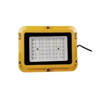 普罗斯(Plusrite)LED防爆壁灯PLUS-BD-B-50W(预售:15天内发货)