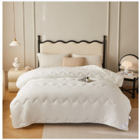 杉杉(FIRS) (C)水洗棉被芯 200*230cm SS-BX2517