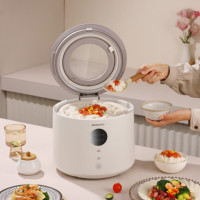 大宇(DAEWOO)(C)电饭煲家用 4L 智能预约多功能可视天窗电饭锅DYFB-409F