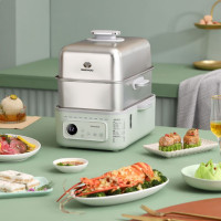 大宇(DAEWOO)(C)家用多功能电蒸锅大容量双层不锈钢蒸炖可预约保温蒸锅DYZG-1568 莫兰迪绿