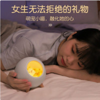 宠物屋蓝牙小夜灯 创意小猫咪桌面氛围小夜灯 F-02