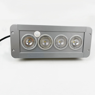 鼎晟丰(DSF)DSFG-900Y 4*3W AC85-265V IP65 应急时间≧90min LED固定免维护顶灯(应急灯)