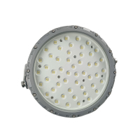 鼎晟丰(DSF) DSFG-911 AC110-240V 50W IP66 LED泛光灯 (计价单位:个) 灰色