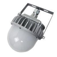 鼎晟丰(DSF) DSFG-921A AC110-240V 30W IP66 6000K LED平台灯 (计价单位:个) 灰色