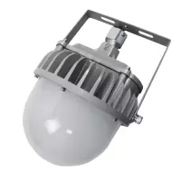 鼎晟丰(DSF) DSFG-921A AC110-240V 30W IP66 6000K LED平台灯 (计价单位:个) 灰色