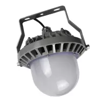 鼎晟丰(DSF) DSFG-921A AC110-240V 70W IP66 6000K LED平台灯 (计价单位:个) 灰色