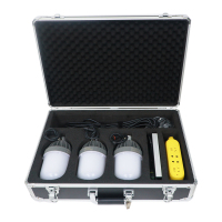 鼎晟丰(DSF)集成帐篷照明系统 DSFY-6511 3*30W 一套