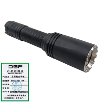 鼎晟丰(DSF)远程激光手电 DSFB-J01 10W 一个