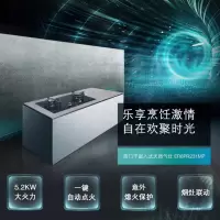 西门子燃气灶ER8PR231MP