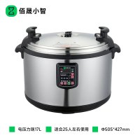 佰晟小智 电压力锅 NQ021 电压力锅17L