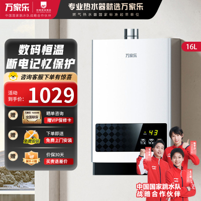 Macro/万家乐 JSQ30-16T1(T)燃气热水器家用管道12T天然气