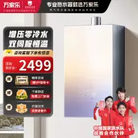 万家乐 燃气热水器JSQ30-16RG3 天然气下置风机16升零冷水密闭稳燃舱全景玻璃屏[彩虹系列]
