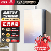 万家乐 燃气热水器JSQ30-16RG3 天然气下置风机16升零冷水密闭稳燃舱全景玻璃屏[彩虹系列]