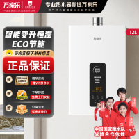 万家乐 12升燃气热水器 升级0.1度恒温智能变升 ECO节能电辅防冻WIFI智控 天然气JSQ24-12TP1(F)