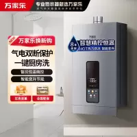 万家乐TP3燃气热水器气电双断防护 智能恒温强排热水器电辅防冻一键厨房洗 13L