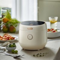 小熊(Bear)电饭煲 电饭锅家用 大容量3-8人柴火饭多功能智能微快煮米饭锅DFB-C30L3