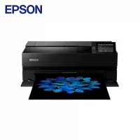 爱普生(EPSON) P908 A2+ 大幅面照片喷墨打印机(单位:台)