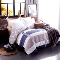 伊伊爱 BT-8QM-001 160*210cm生态磨毛被套(计价单位：条)