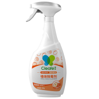 净安(Cleafe) 墙体除霉 500g 喷雾剂(计价单位:组)