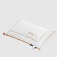 伊伊爱 ZX-9YSR-004 48*74cm 全棉拼色边 皇家酒店枕头 枕芯 (计价单位：个) 白色