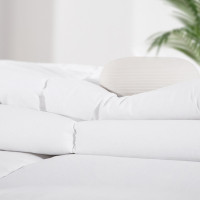 伊伊爱 Z02000190 190*220cm 纯棉40S被芯羽丝绒 被子 1.00 件/条 (计价单位：条) 白色