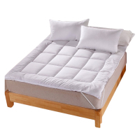 伊伊爱 D02000163 150*200cm 交织棉 床垫 1.00 件/个 (计价单位:个) 白色