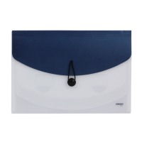 金得利(KINARY) F411 A4 4格 金属色 风琴包 (计价单位:个) 金银蓝绿红随机