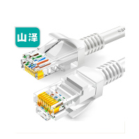 山泽(SAMZHE) ZW-03 高速超五类网线 3.00 米/根 (计价单位:根) 贝吉色