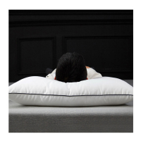 伊伊爱 ZXBHJC2000043 48*74cm 谊家云绒枕 低枕 (计价单位:只)