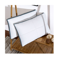 伊伊爱 ZX-9YSR-001 48*74cm 全棉天鹅湖中枕单人枕 枕芯 (计价单位:个)