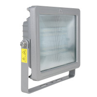 华荣 GT311-XL100IIA 100W、220V、光源色温5500K左右、LED 投光灯具 (计价单位:个) 灰色