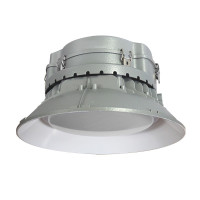 华荣(WAROM) RLEHB0016-XL200C 照明功率200W、防护等级IP66、电压等级220V、光源颜色/色