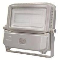 华荣(WAROM) GT316-XL50 照明功率50W、防护等级IP65、电压 等级220V、光源颜色/色温5500K左右、光源类型LED 投光灯具 (计价单位:个) 银色