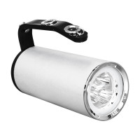 深照紫光 YJ1201C-9W 固态手提式防爆探照灯 1.00 盏/套 (计价单位:套) 银色