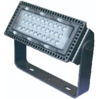 维莱奥斯 TGD1001 110W 2700-7000K IP65 WF2 220V LED LED投光灯 (计价单位: