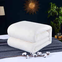 三极户外(Tri-Polar) TP2873 棉花被芯 1.5*2m 4斤 被子 1.00 件/个 (计价单位:个) 白