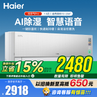 海尔(Haier)空调洗空气pro科技版 除菌除湿 新一级能效卧室挂机空调 KFR-35GW/E3-1Pro