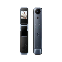 TCL 智能门锁 P10R