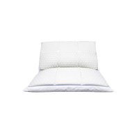 伊伊爱 枕头 ZX0TPE2100074 74*48cm TPE 白色