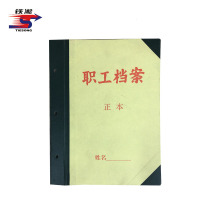 铁凇 职工档案 A4 付