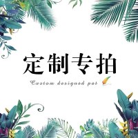 铁凇(TIESONG) 定制专拍90