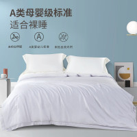 洁玉洁玉 A类凉感透气细腻亲肤 雪山风感被