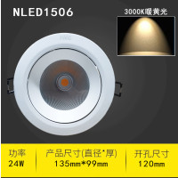 德诚和吸顶嵌入式天花灯LED射灯筒灯24W-3000K暖黄光筒灯36°可调角度 开孔120mm NLED1506